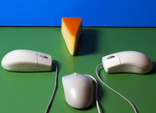 High-tech lunch
