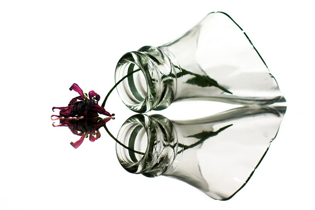 Broken Bottle