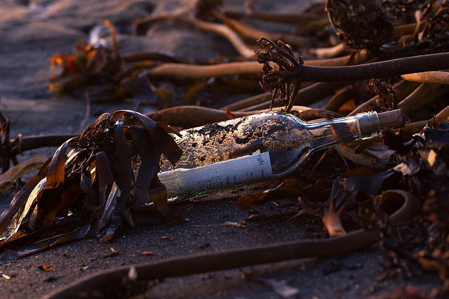 Query in the bottle