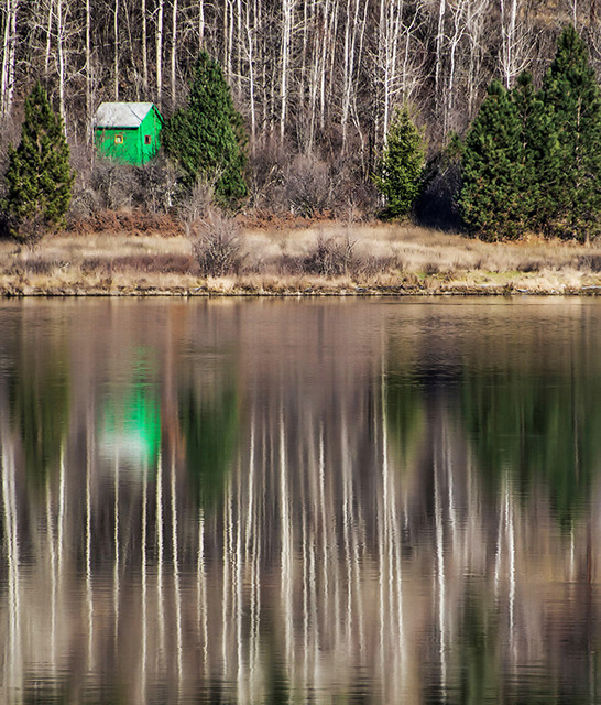 The green cabin
