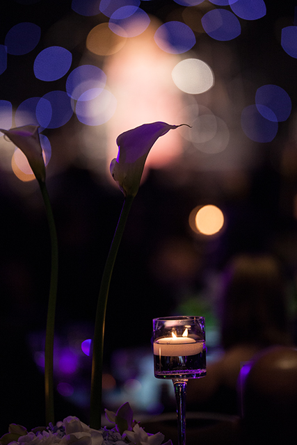 Untitled Bokeh