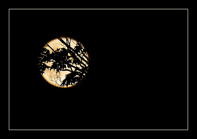 In the dark and the light of night