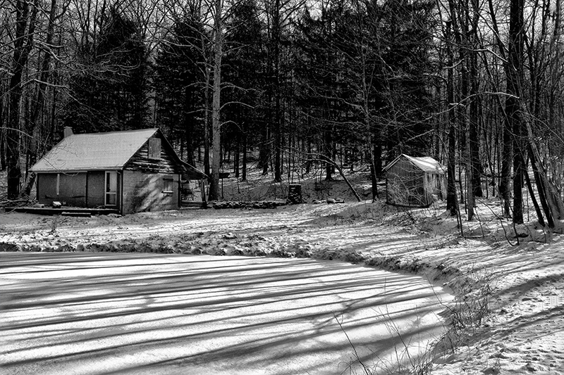 Winters Last Shadows