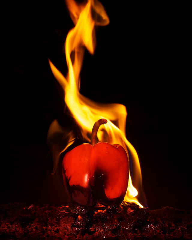 Scorched Spice