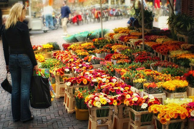 Pretty Flowers