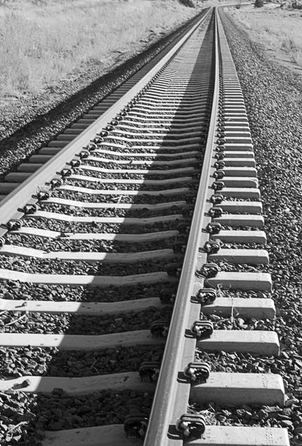 Lines