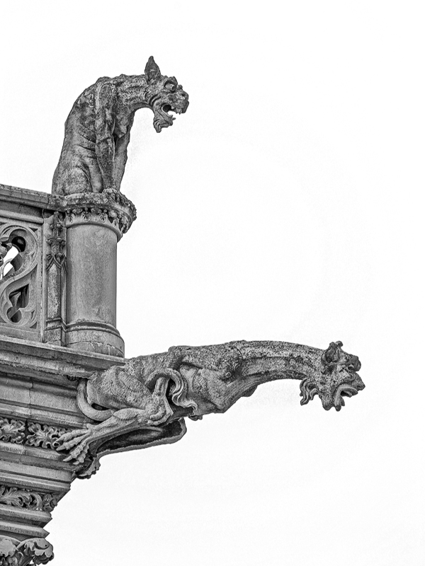 The Gargoyles of The Biltmore House