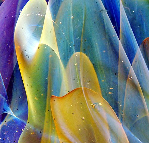 Glass Nebula