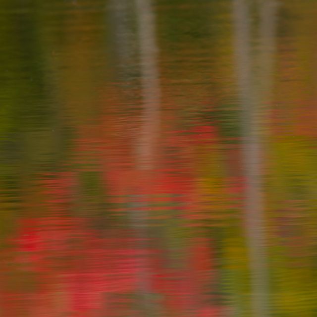 Rippled