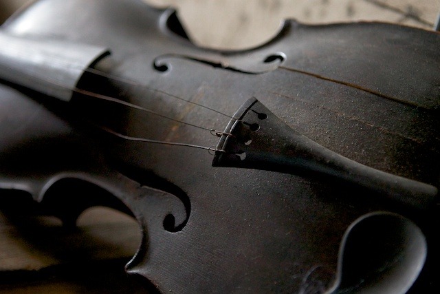 Violin
