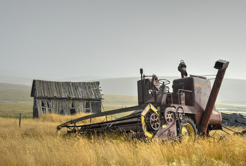 Rustic Wheels