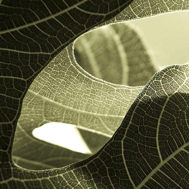 Abstract