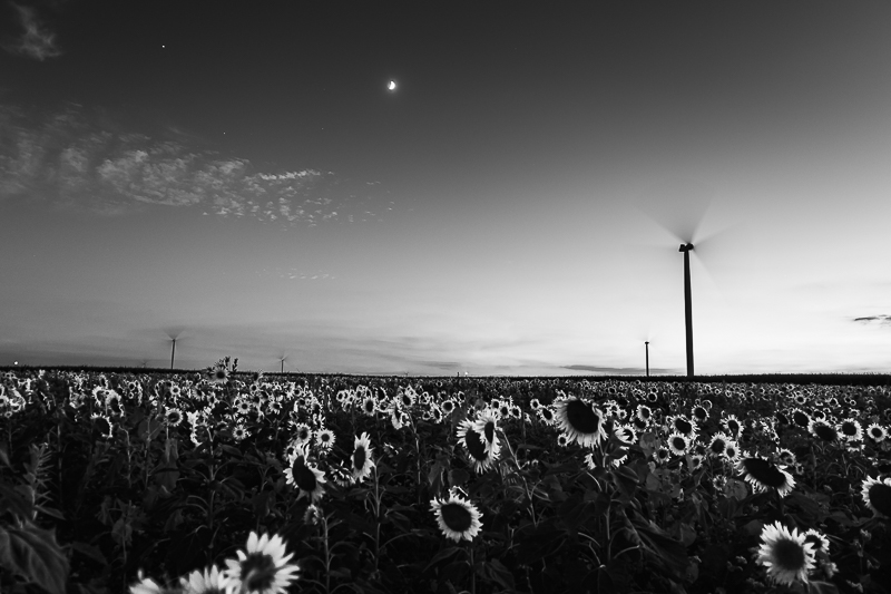 Farming
