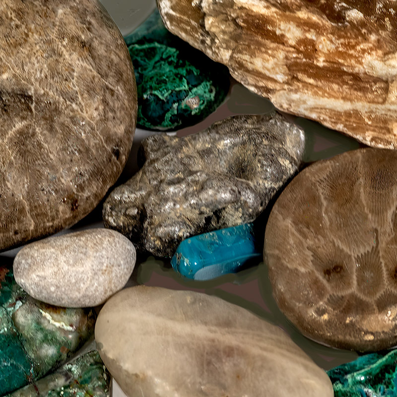 Boyhood treasures