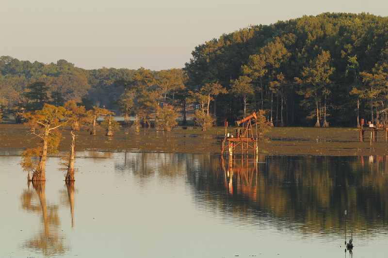 Caddo Lake
