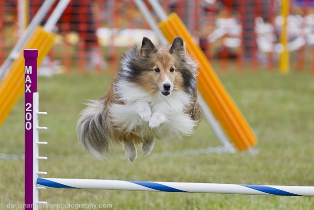 its a bird, its a plane, its a........?