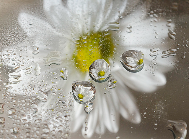 Rainy Day