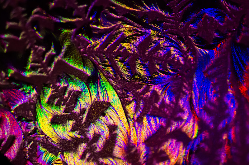 Frosted Christmas Lights