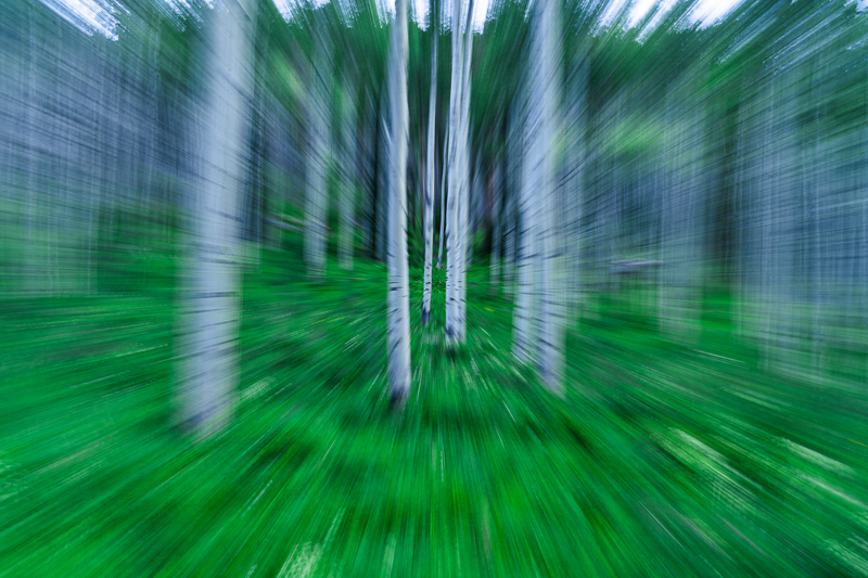 Zoom In