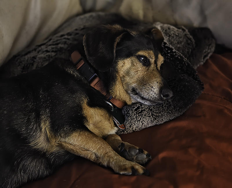 Couch Comfort