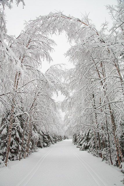 Snowscape