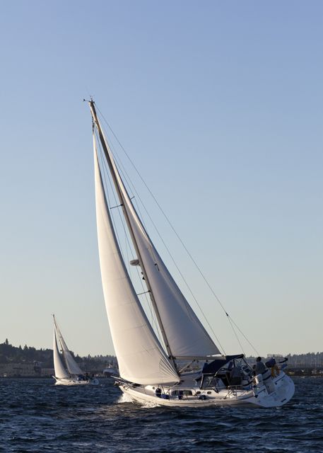 The Regatta