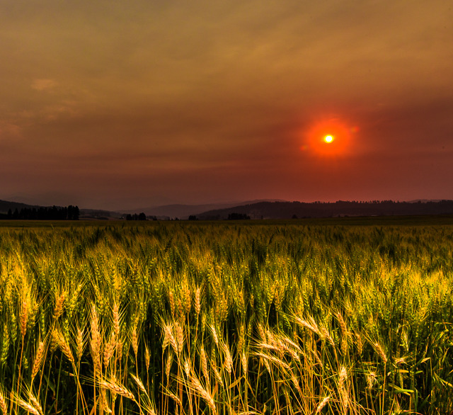 Fires in the West