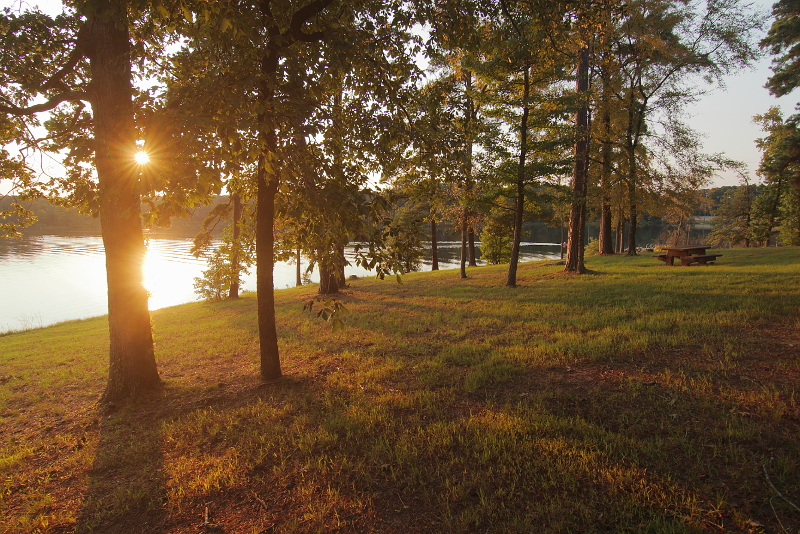 Out at the Lake