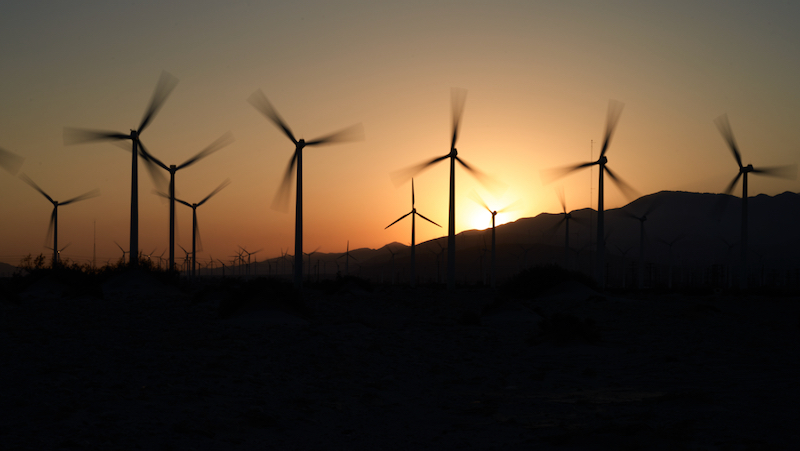 Harness the Wind