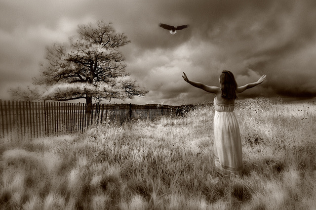 Learning to Fly