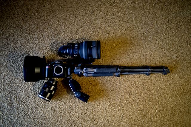 Don't Shoot