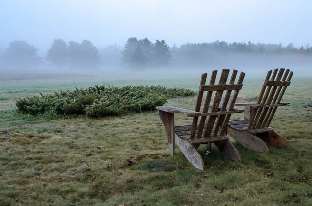 Morning Simplicity