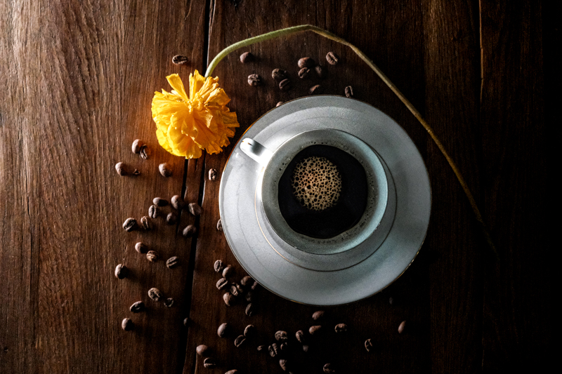 Morning glory