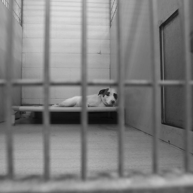 Abandoned and discarded