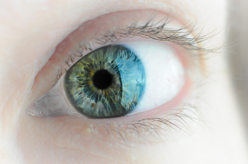 Blue Eyes