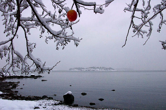 Winter Apple