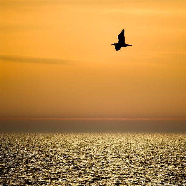 Sunset: The Golden hour