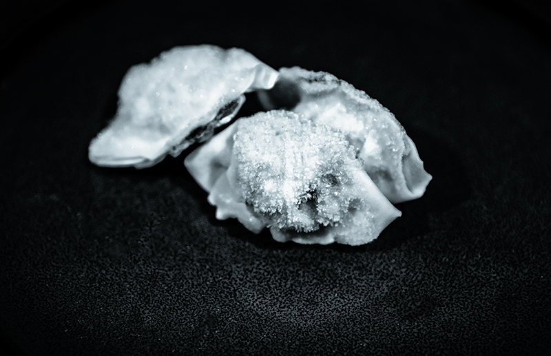 Frosty Wonton