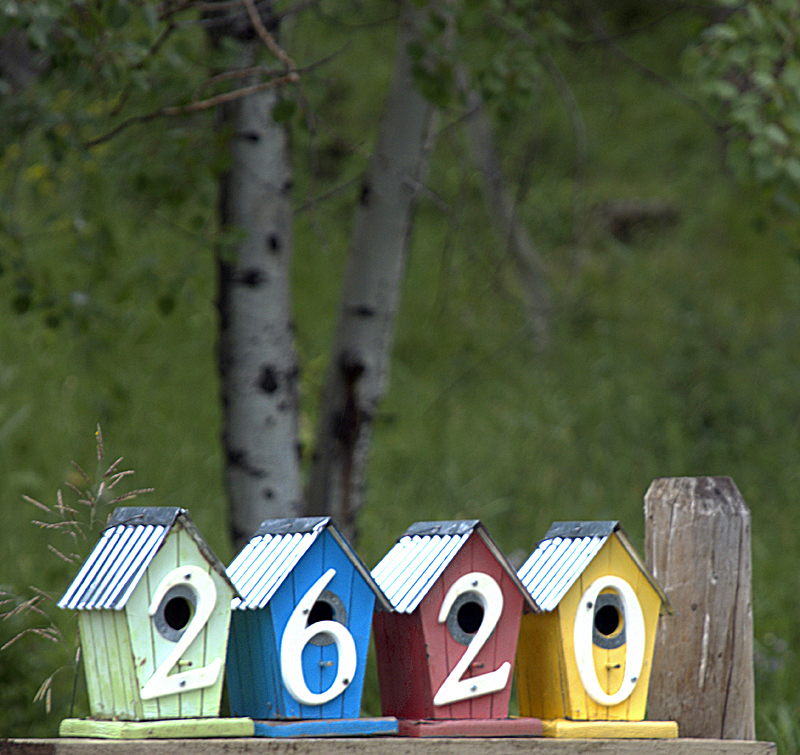 Doors for Bluebirds