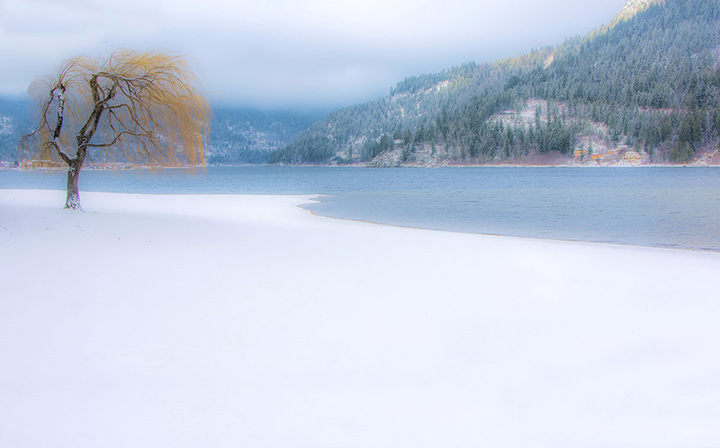 Dreamy morning