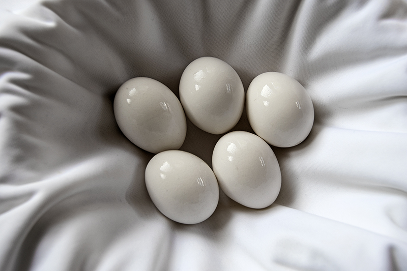 Chicken or egg