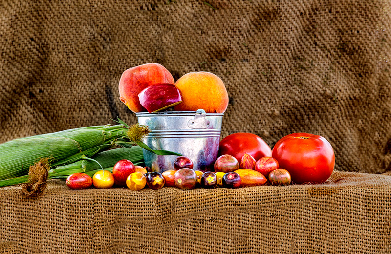 Fruit