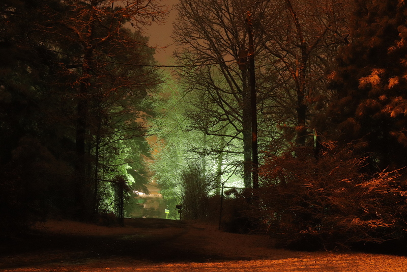 Winter Night