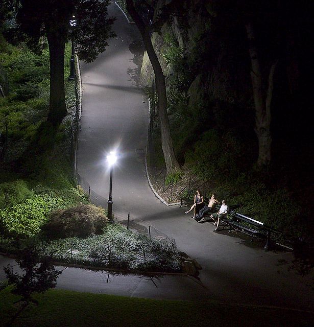 Central Park at Midnight