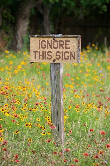 Ignore this