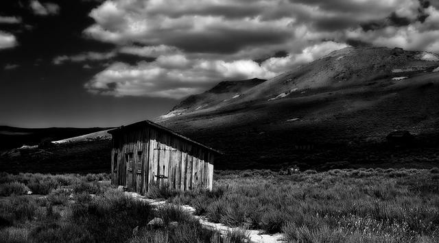 Bodie