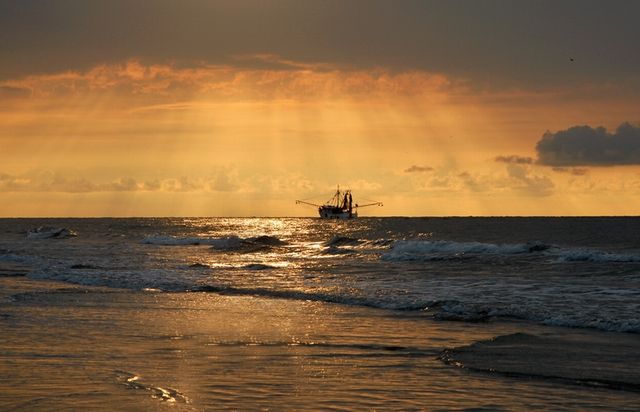 Shrimp Fishing