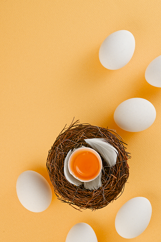 An Egg a Day