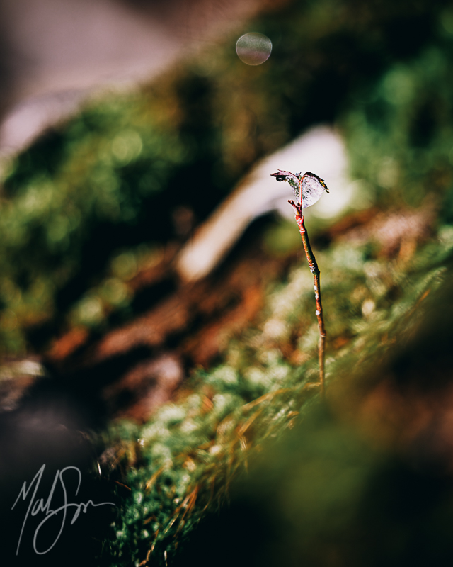 A moment among many.