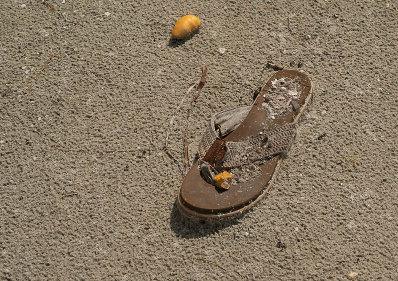 Foam and sandal